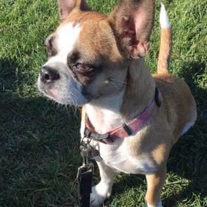 Meet your Posher, Mercedes